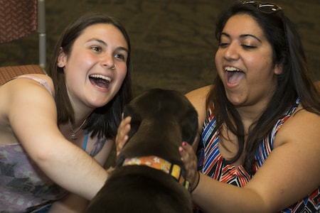 students petting a dog