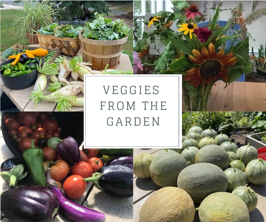 A collage of different garden vegetables and flowers, with thte title 'Veggies from the Garden'