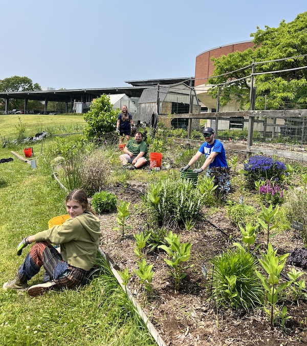 Students working at a community garden