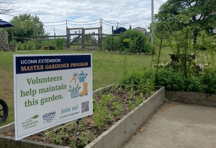 Community Garden