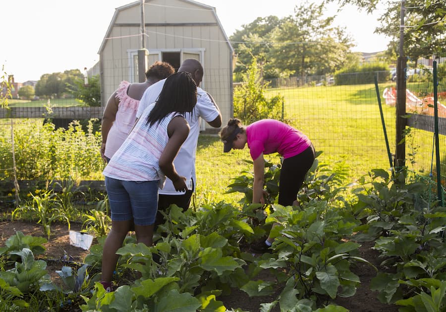 Working in the garden