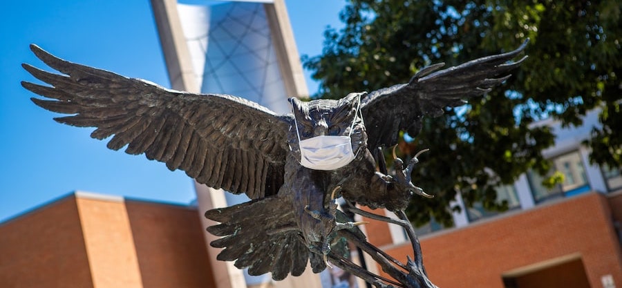 Owl statue with mask