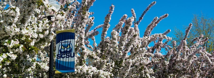 SCSU flag with white tree