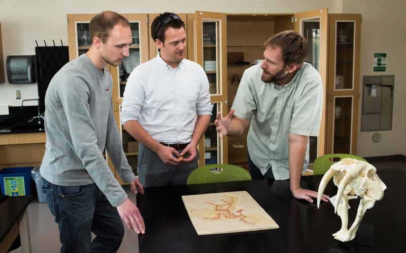 teacher showing students project