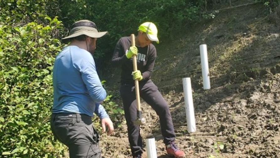 Two people planting on a hill. 