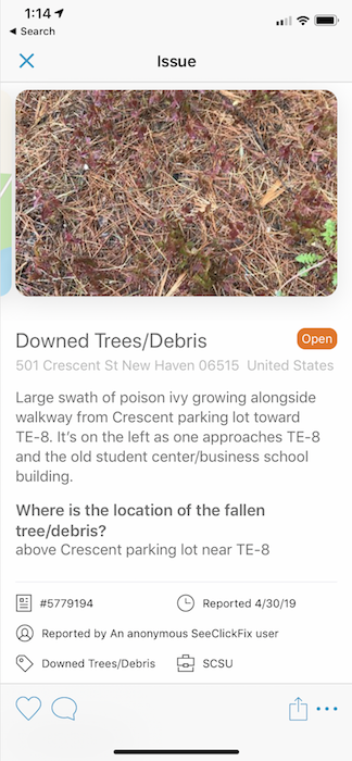 Screenshot of SeeClickFix App Showing a Photo and Details for a Reported Poison Ivy Patch