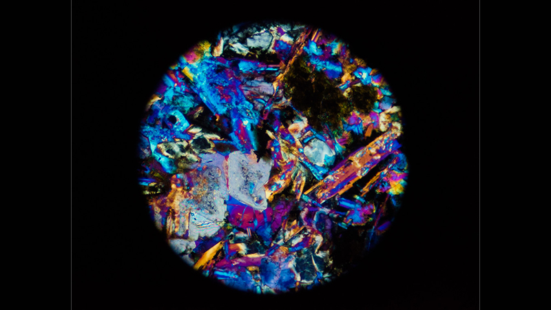 Microscopy Lab