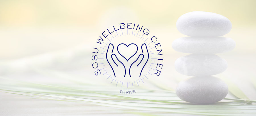SCSU Wellbeing Center with zen stone background