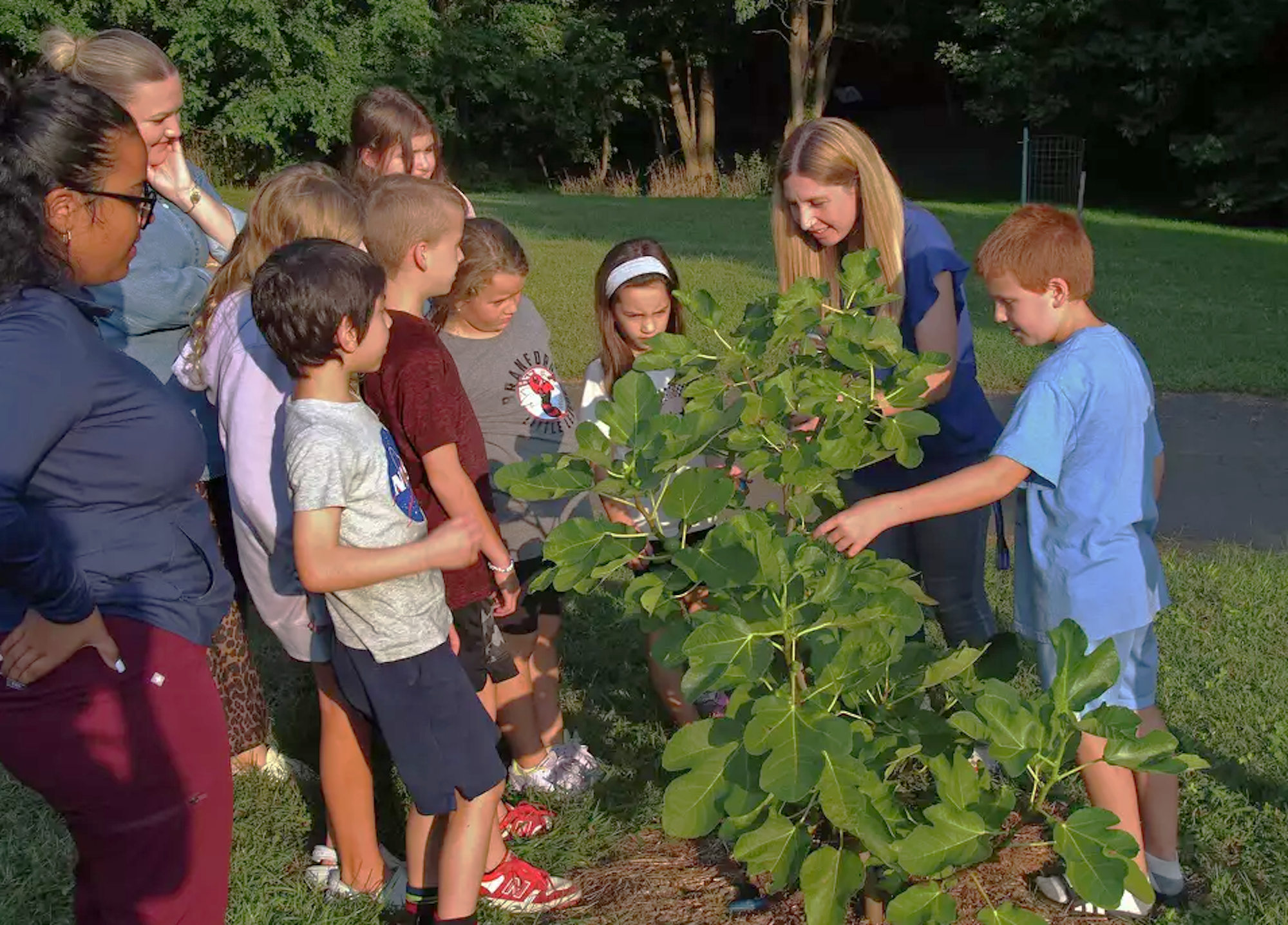 Young children gathered around a tree sprout in the Southern Connecticut State University Community Garden.